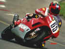 race3.jpg (28213 byte)